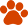 icon_policy